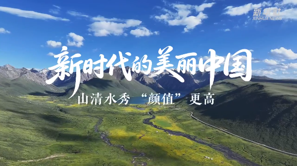 以法典之名！守護你我的美麗中國